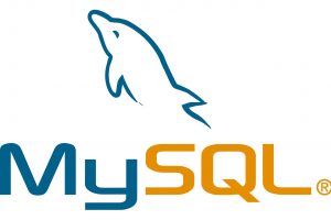 MySQL Server